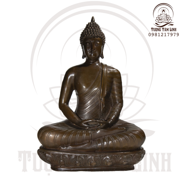 Ngai bon su thich ca mau ni