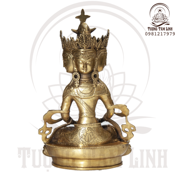 Dai Nhat Nhu Lai chup dang sau