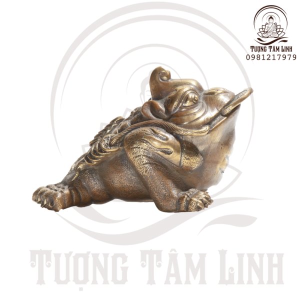 Coc ngam tien chup phai